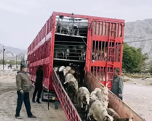 Fence Cargo Semi Trailer